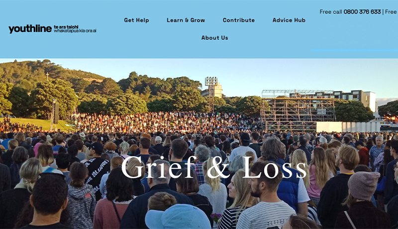 2. Web_Grief and Loss